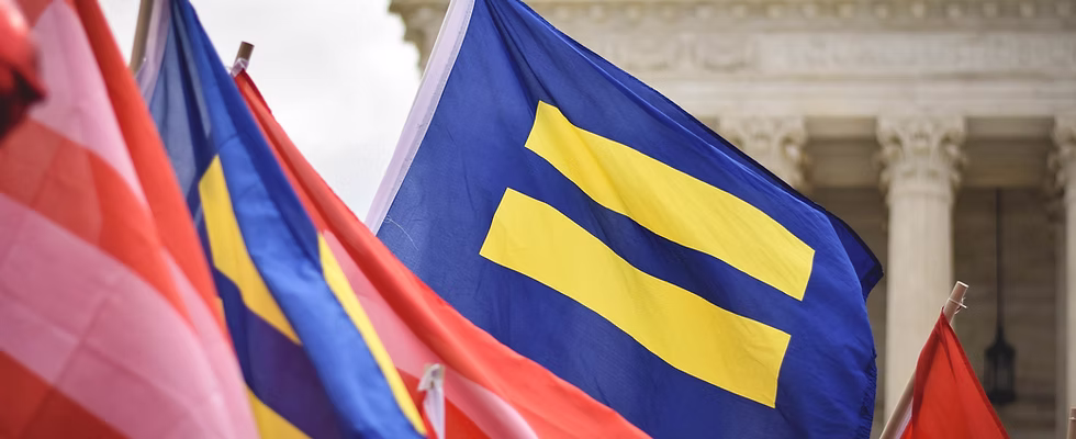 Equality and Diversity Flags